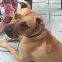 Cheryl Munroe - @cmunroe650 - Twitter