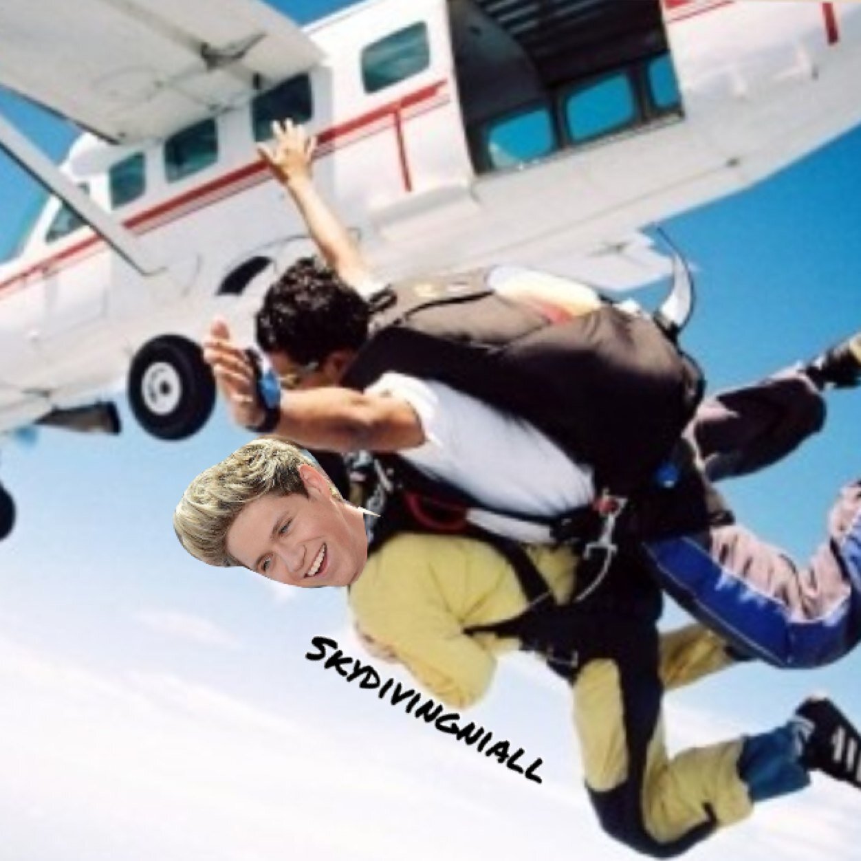 follow @xfvckingnarry please