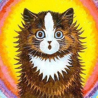 uraharagin's profile picture. 