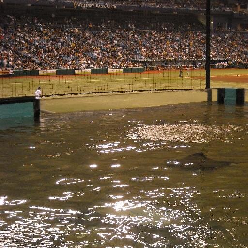 southpawmusings's profile picture. Covering the world of baseball one pitch at a time.