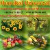 Humikal Univerzal (@humikal) Twitter profile photo