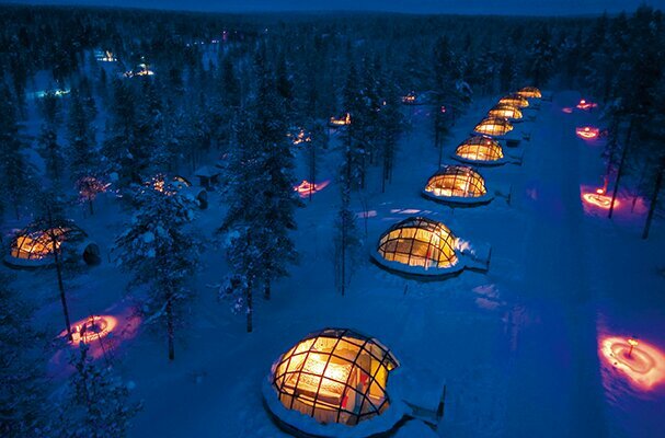 wowsignal1020's profile picture. 