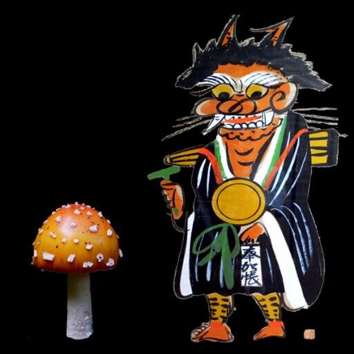 Sarangi-Fungiさんのプロフィール画像