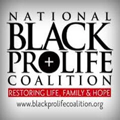 BlackProLifers's profile picture. The National Black Prolife Coalition is a network of prolife and pro-family organizations committed to restoring Life, Family & Hope.