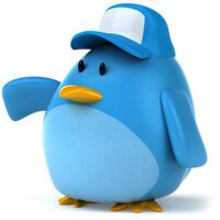 #NWFollowers (@nwfollowers) 's Twitter Profile