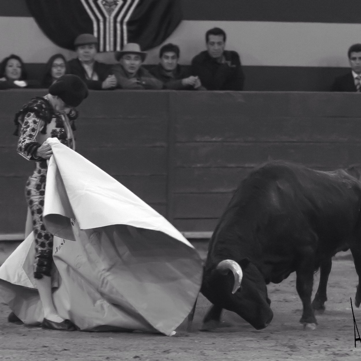 Matador de Toros, ganadería Cerro Viejo