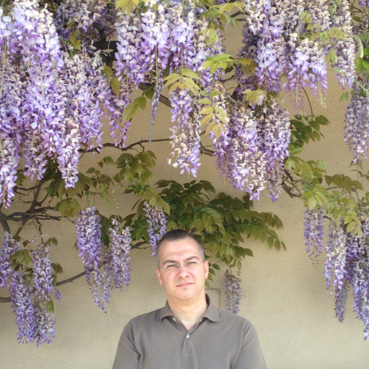 Karabük Üniversitesi/ KBÜ/ Safranbolu/ Karabük/Türkiye