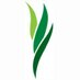 Green Meadow Waldorf School (@greenmeadowny) Twitter profile photo Green Meadow Waldorf School (@greenmeadowny) Twitter profile photo