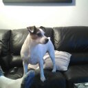 Harold Eldridge - @hareld1947 - Twitter