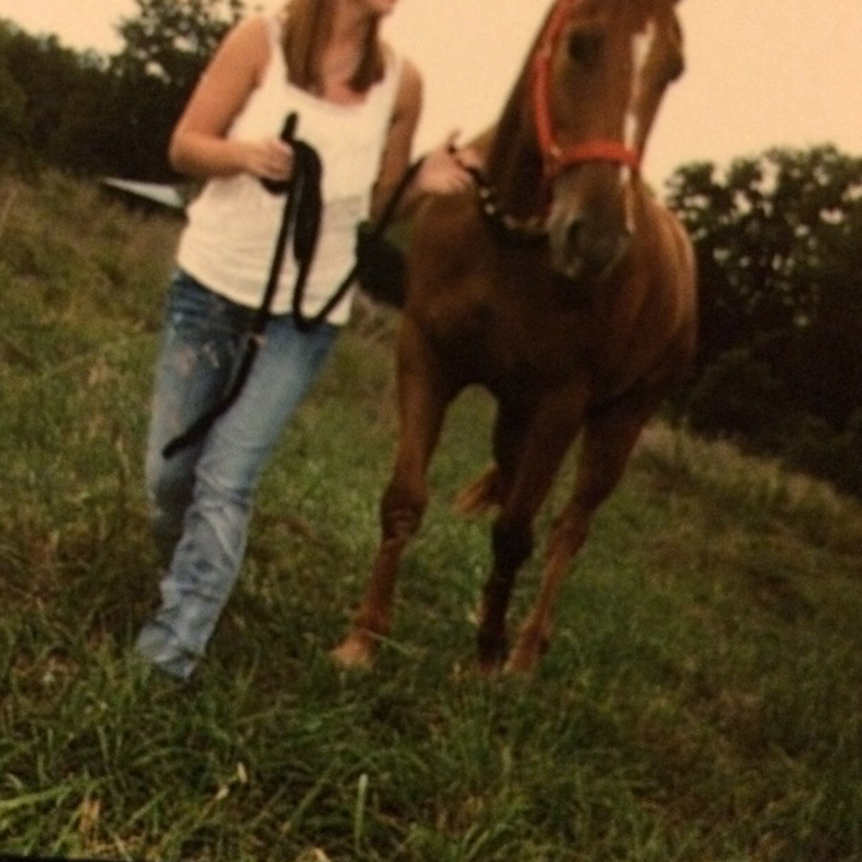 The story of a cowgirl lies underneath her saddle. Born and raised as a catholic arkansan. ❤ #TeamGinger #ASURedwolves #PreVet