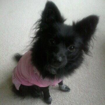 martinpederse16's profile picture. 