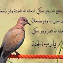 محمد البرنس (@010951817) Twitter