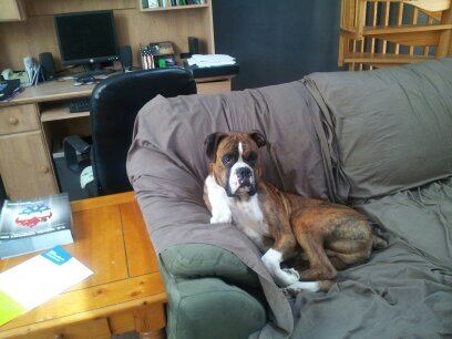 Daw60365624's profile picture. 