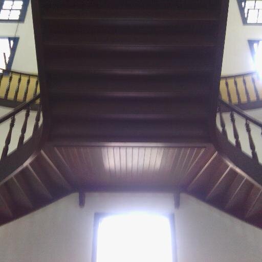 fariaregina's profile picture. Portuguese & English Teacher and Translator / Tradutora e Professora de Inglês & PLE. Tweeting mostly about language teaching, but also about other interests.