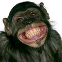 Freddy Losada - @losada888 - Twitter