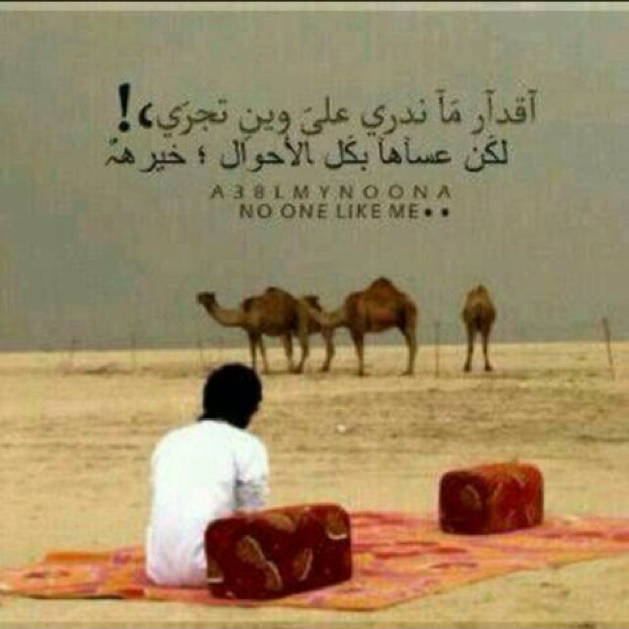 ،،