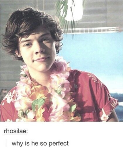 So you got a free follow, so go follow me on @Guy1_Direction