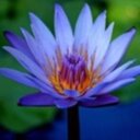 Winston Roach - @roachbk1201 - Twitter