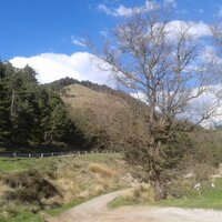 Caridad Villar (@caridadvillar) 's Twitter Profile