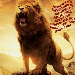 crazysammy007's profile picture. people wish all d success in d world but hate when u get it ←_←....follow for follow