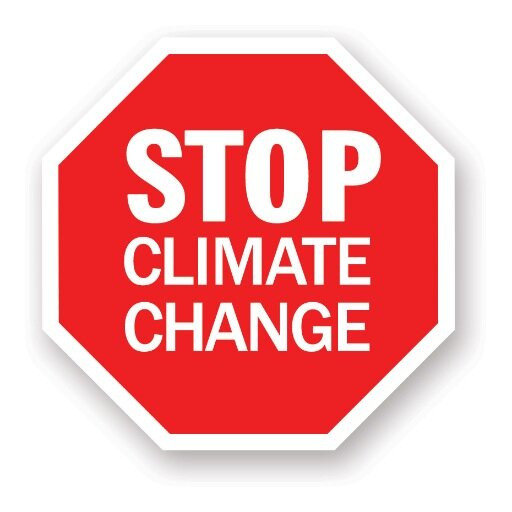 wndrdog's profile picture. climate activist, CD, AD, UI + UX, web dev, designer, illustrator