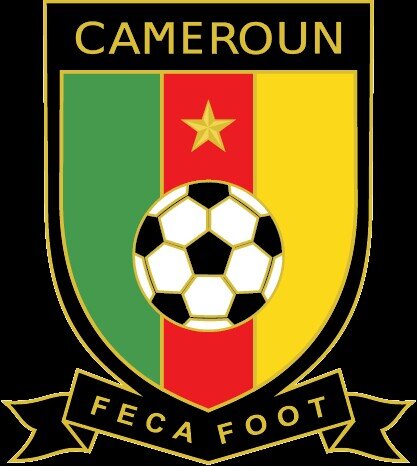 LionsDuCamer's profile picture. Ce n'est pas parce que le Lion a maigri qu'on va l'appeler chat! Compte parodique. #Fecafoot #Brazil2014 #Football