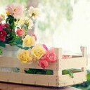همسات انثى (@099099099gogo) Twitter