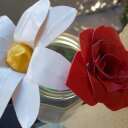 Lindy Edwards - @DuctTapeFlorist - Twitter