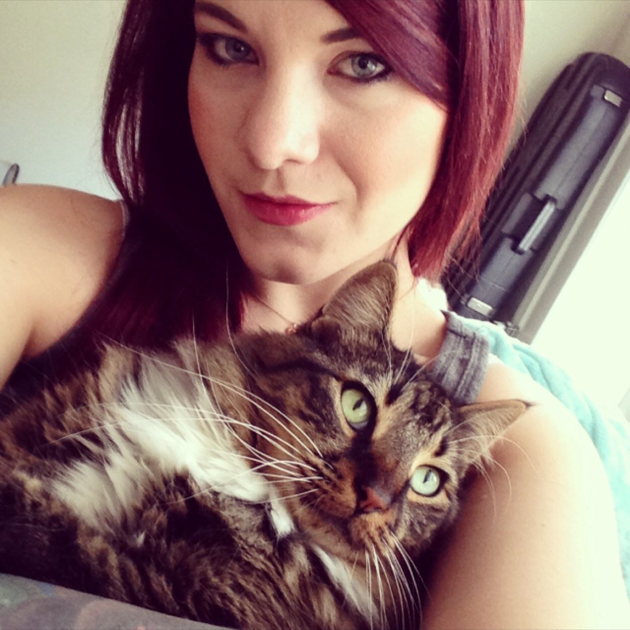 apedosmil_'s profile picture. 