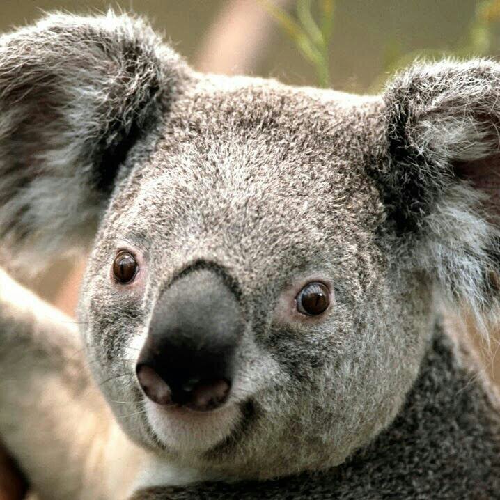 MartinsMatec's profile picture. 