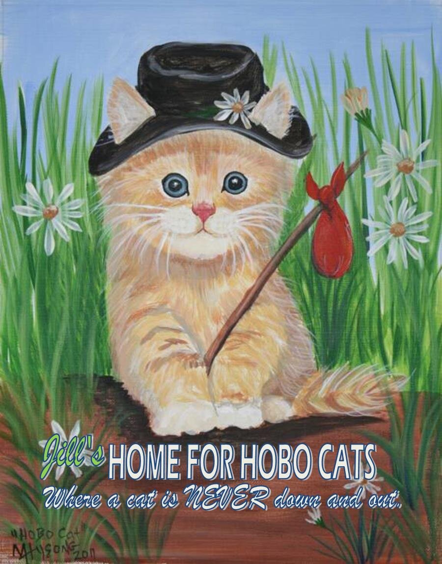 Jill's Home for Hobo Cats