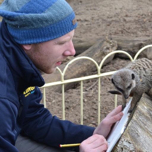 RobSavin's profile picture. Wildlife artist and Safari keeper. Inspired by nature.
Follow my work on Facebook - https://t.co/FAlOLeqbG1 and on Instagram - Wildart_rob
