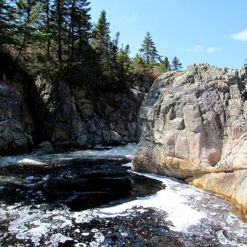 Denise Hooper Profile