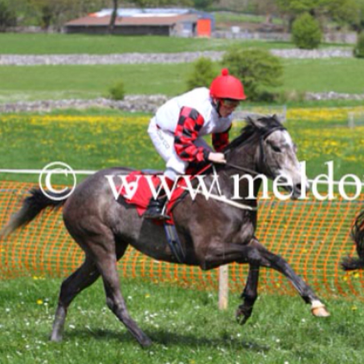 misteregan's profile picture. 