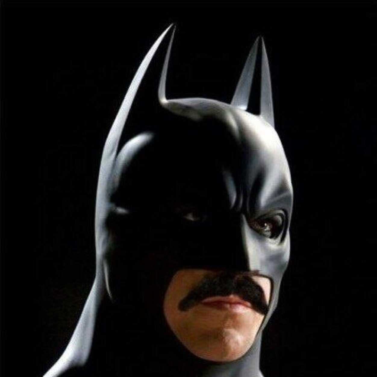 moustacheofbryn's profile picture. Hi I am the moustache that made @brynwilkes, the first moustache to ever be a BNOC. Now fighting 1st world crime & problems as the batmoustache.