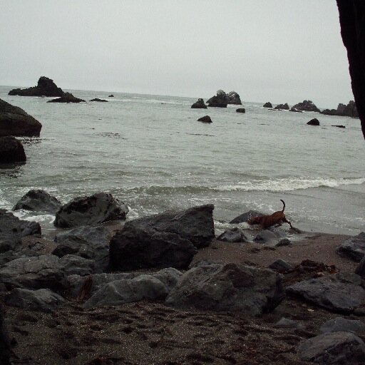 qiyirrriiiii0x's profile picture. diy, knit create craft upcycle healthy workout  yoga define self; to thy self is true