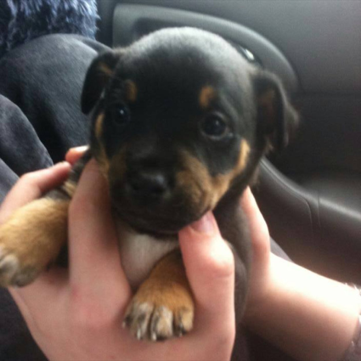 fluidoverload18's profile picture. 