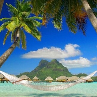 TammySmith7311's profile picture. 