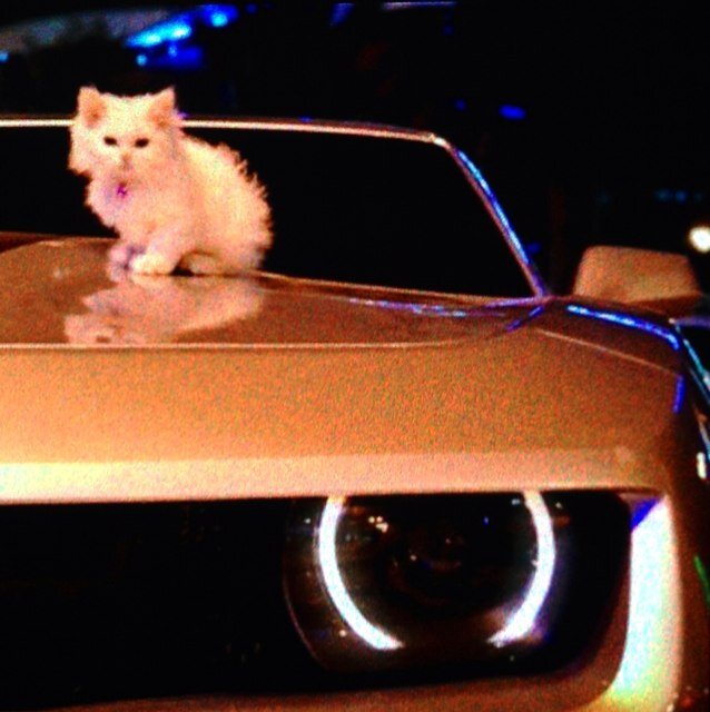 bdoryakan's profile picture. 