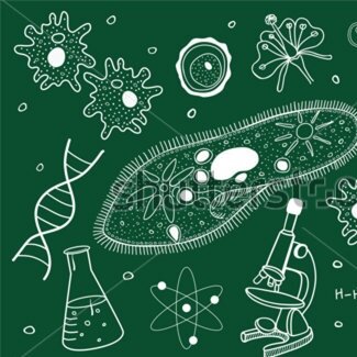 Science information and reminders from  the Christ the King College science department