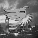 13 Noir Protection (@13NoirProtect) Twitter
