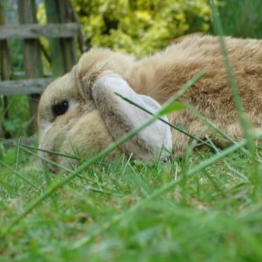 Sophieclapp's profile picture. Teaching is the best job in the world.