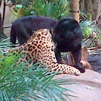 jollyellis's profile picture. Loves all my friends n family to bits. Massive charmed fan