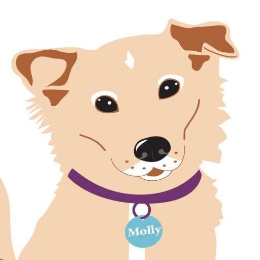 SweetMollys's profile picture. Our small batch ice cream, frozen yogurt and sorbet are made daily in the shop!  Family owned and making ice cream here for more than 10 years!