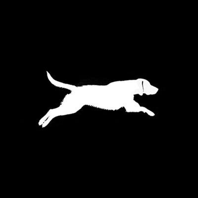 Pet performance products for every active dog. #GoDog