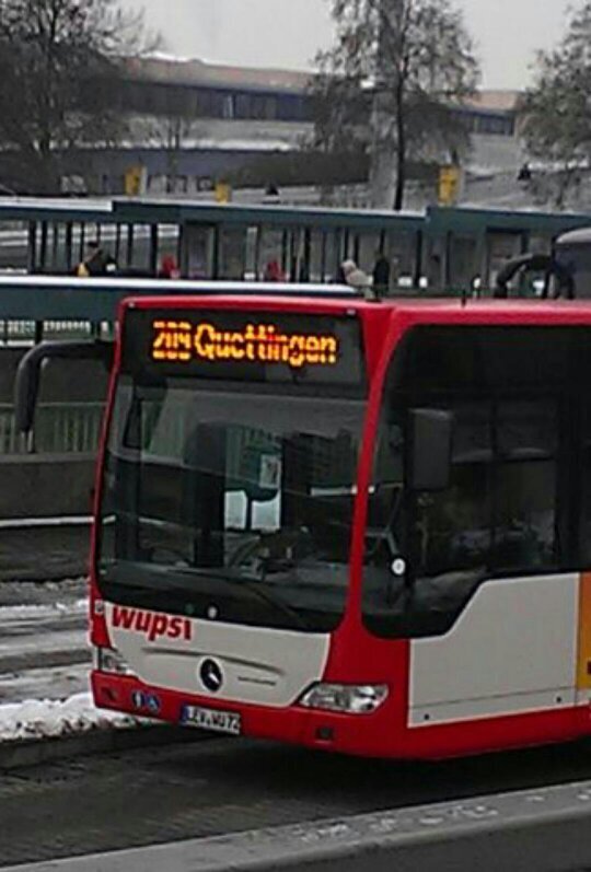 Raphaelpi04's profile picture. 