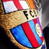 SangBlaugrana's profile picture. Del Barça hasta el final. Messi es la referencia del cual se mediran en los siglos venideros, su carrera en el Camp Nou deberia ser cuestión de estado.