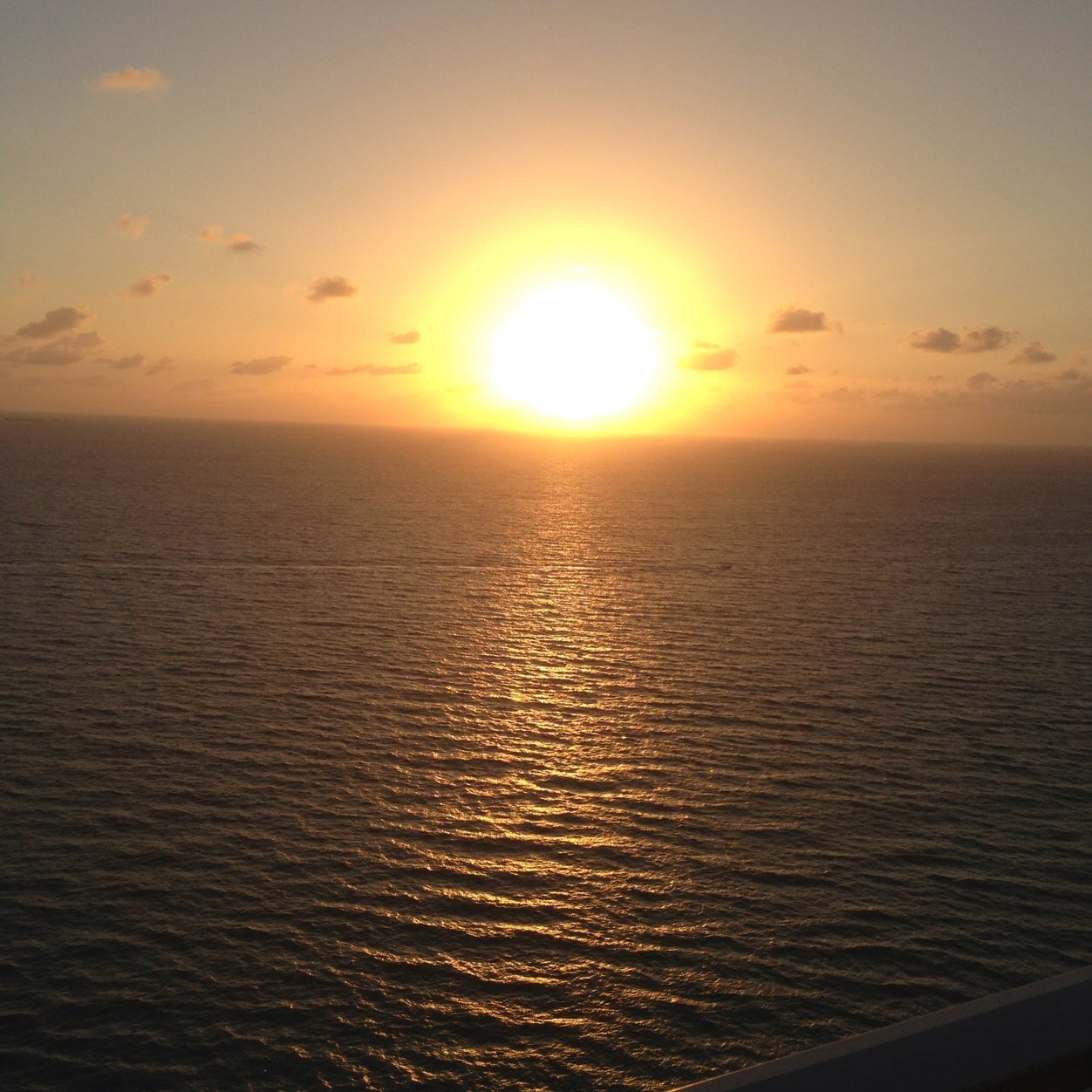 Shlomzey's profile picture. 