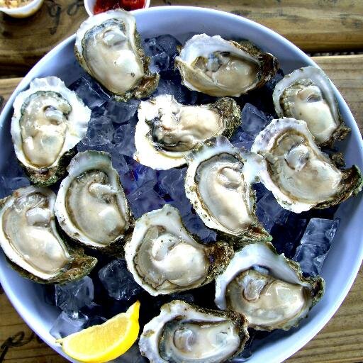 Info on the Apalachicola Bay area & the Forgotten Coast, where to eat Apalachicola Bay oysters, things to do in a cool small coastal town with endless waterways