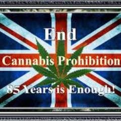 cannabisnewsuk's profile picture. All the latest news on cannabis in the UK and the rest of the world